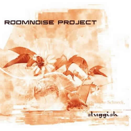 Roomnoise Project - Sluggish