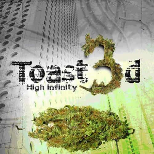 Toast3d - High Infinity