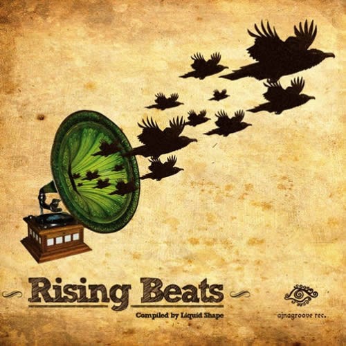 Compilation: Rising Beats - Compiled by Liquid Shape