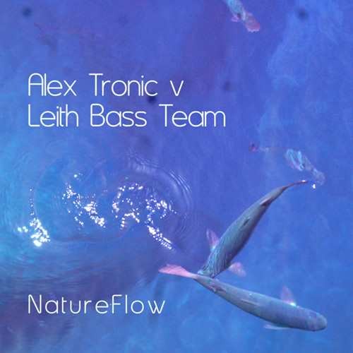 Alex Tronic vs. Leith Bass Team - Nature Flow