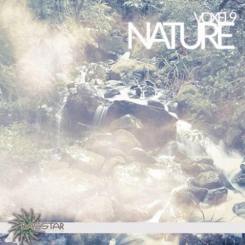 Voxel9 - Nature