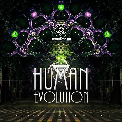 Compilation: Human Evolution