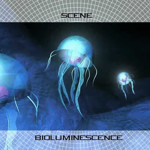 Bioluminescence - Scene