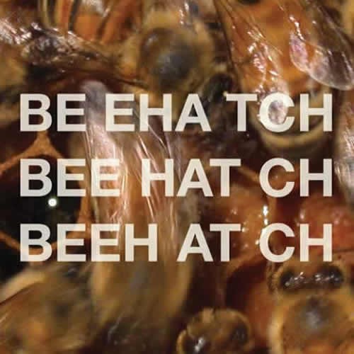 Beehatch - Beehatch