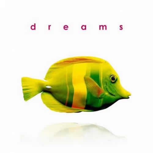 Compilation: Dreams