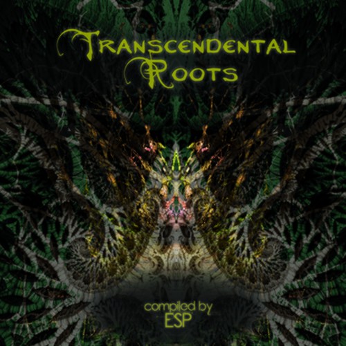 Compilation: Transcendental Roots