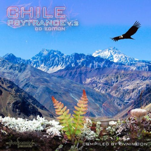 Compilation: Chile Psytrance Vol 2
