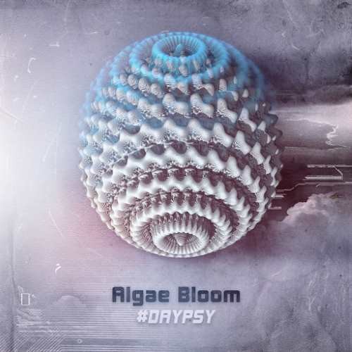 Algae Bloom - Daypsy