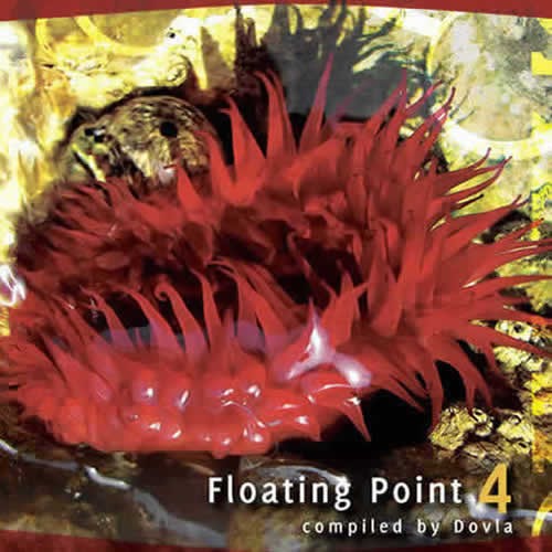 Compilation: Floating Point Vol 4