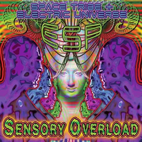 ESP - Sensory Overload