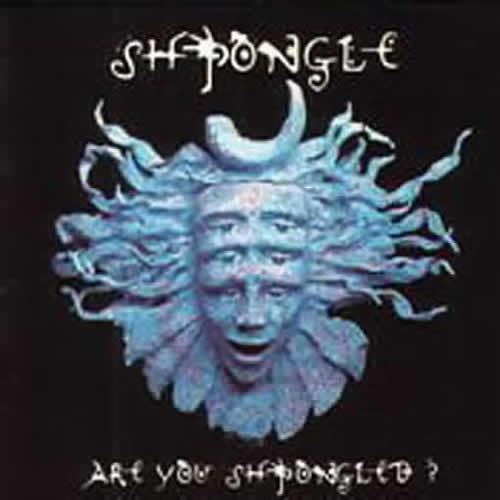 Shpongle - Are you shpongled?