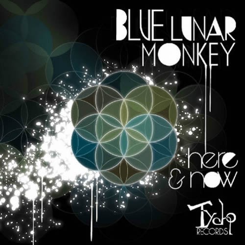 Blue Lunar Monkey - Here and Now