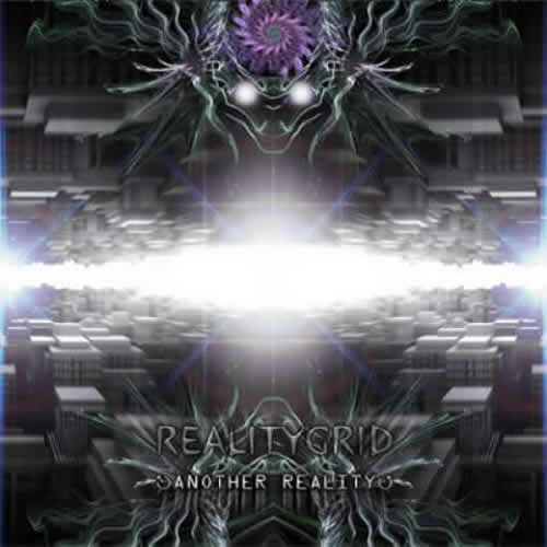 RealityGrid - Another Reality