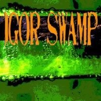 Compilation: Igor Swamp - Metsae vastaa, kuuleeko suomi