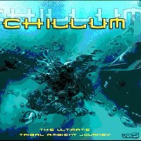 Compilation: Chillum Volume 5