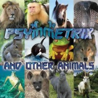 Psymmetrix - Psymmetrix and Other Animals