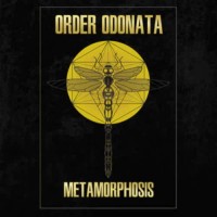 Compilation: Order Odonata - Metamorphosis