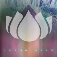 Compilation: Lotus Seed