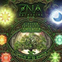 Compilation: ZNA Gathering - Compiled by Dj Asherun