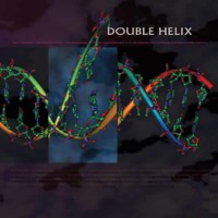 Compilation: Double Helix