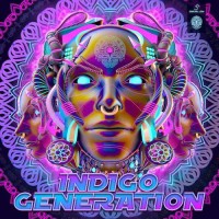 Compilation: Indigo Generation