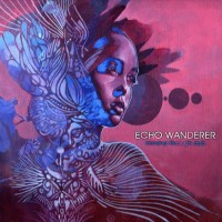 Echo Wanderer - Moving Through Dub