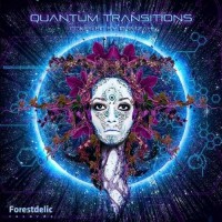 Compilation: Quantum Transitions