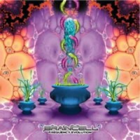 Braincell - Frequency Evolution