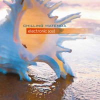 Chilling Matenda - Electronic Soul