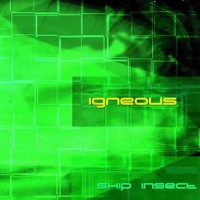 Igneous - Skip Insect