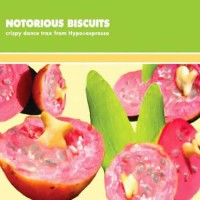 Compilation: Notorious Biscuits