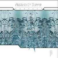 Frequency Surfer - Respect