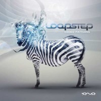 Loopstep - Coded Patterns