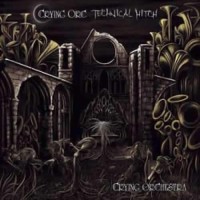 Crying Orc and Technical Hitch - Crying Orchestra