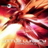 Compilation: A Little Lunacy - Compiled by Dj PMAC