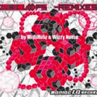 Compilation: Qubic Loops Remixes