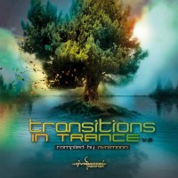 Compilation: Transitions In Trance Vol 2 (2CDs)