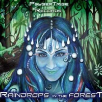Compilation: Raindrops in the Forest