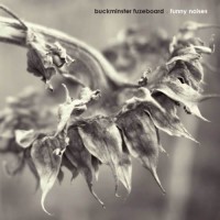 Buckminster Fuzeboard - Funny Noises