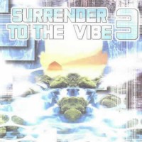 Compilation: Surrender To The Vibe 3