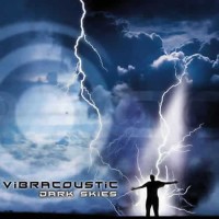 Vibracoustic - Dark Skies
