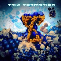 Compilation: Trip Formation