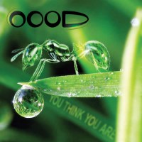 OOOD - You Think You Are