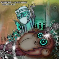 Compilation: Skyhighatrist and Galactic Monkey - Strangely Obtuse