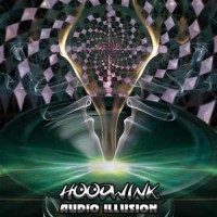 Hoodwink - Audio Illusion